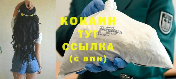 дживик Нея