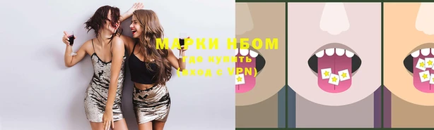 скорость Нефтекумск