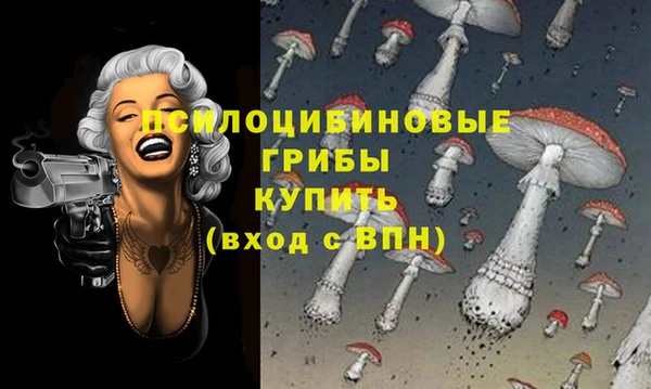 Альфа ПВП Нефтегорск