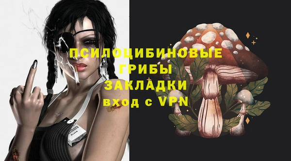 дживик Нея