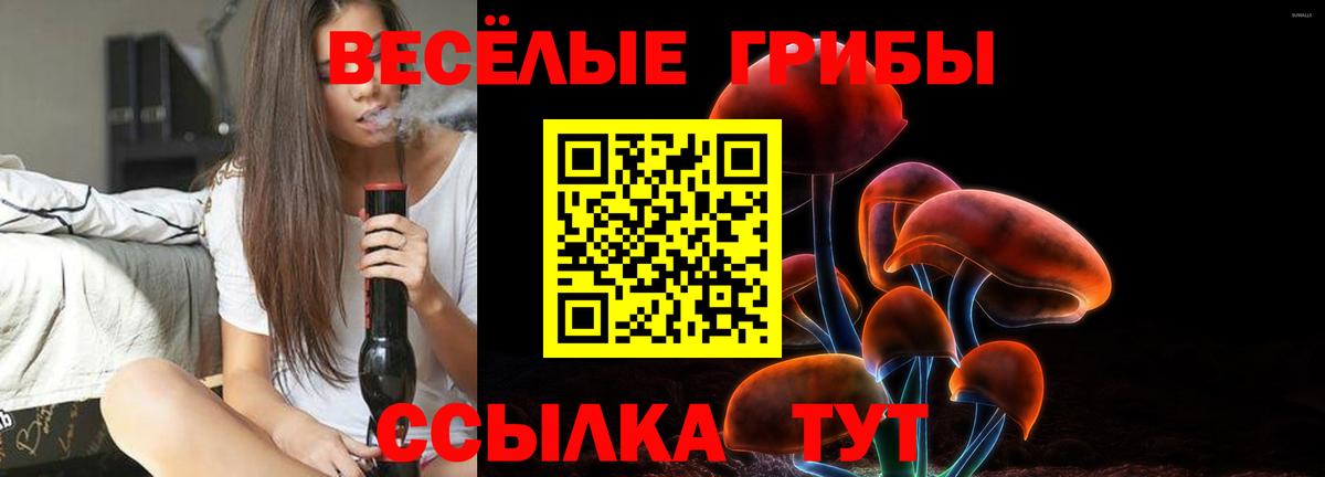 Галлюциногенные грибы Cubensis Нягань